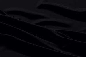 Meet your Posher, Chau